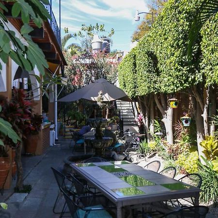 Las Mariposas Hotel & Studios Oaxaca Bagian luar foto