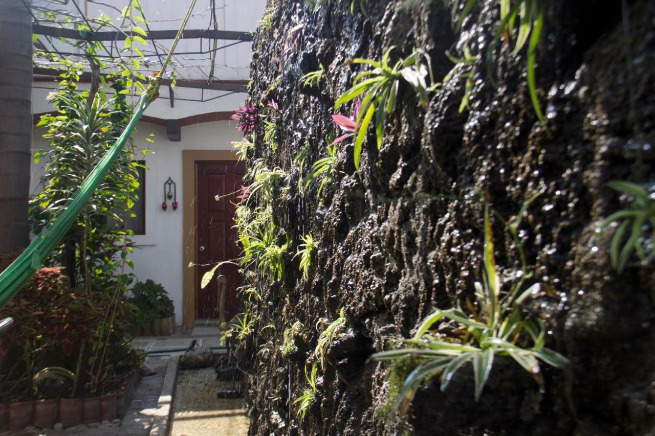 Las Mariposas Hotel & Studios Oaxaca Bagian luar foto