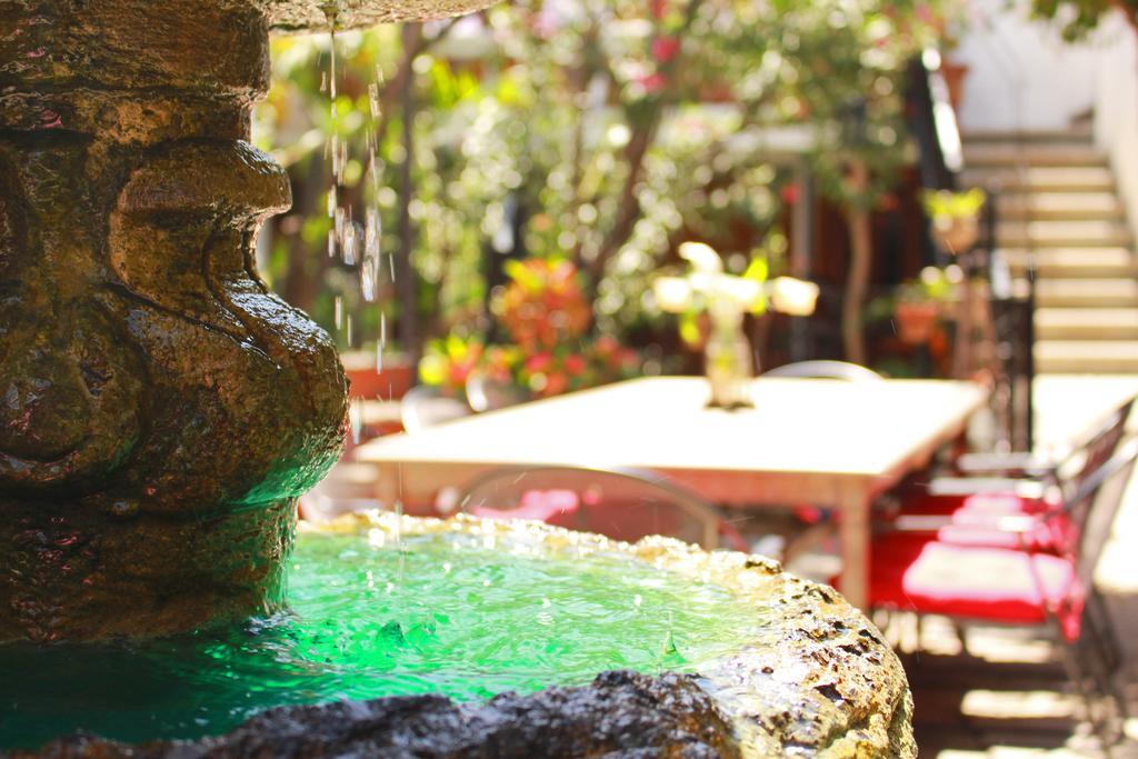 Las Mariposas Hotel & Studios Oaxaca Bagian luar foto